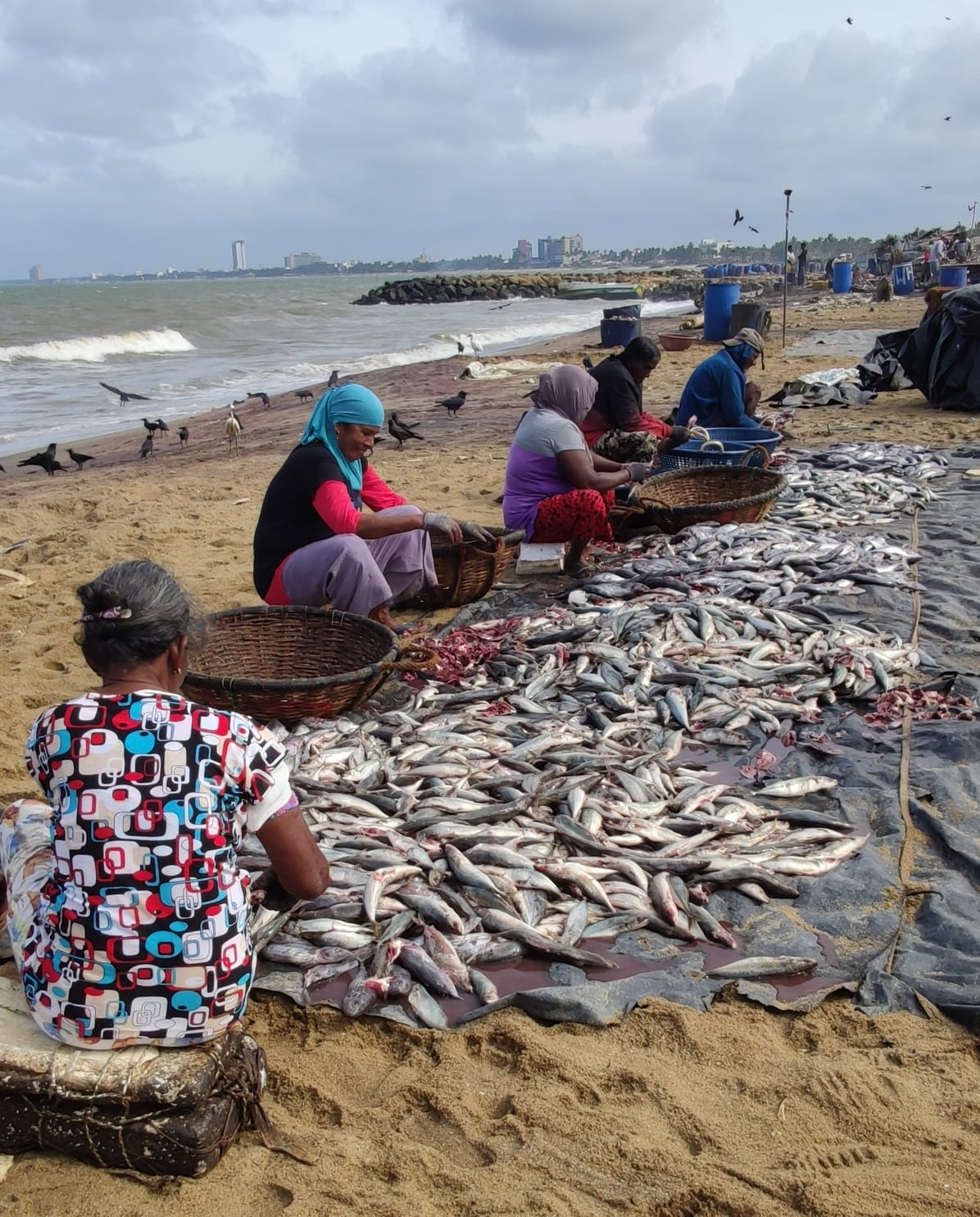 Jaffna 