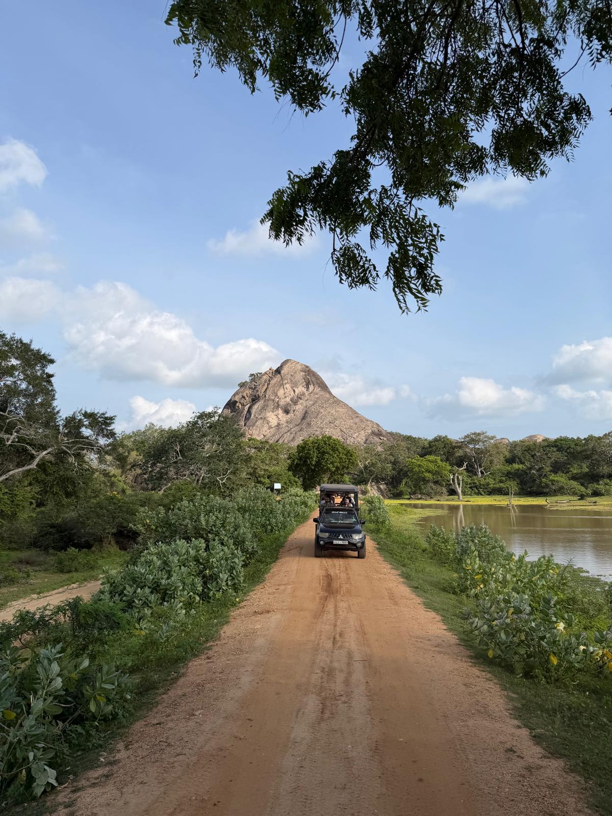 Yala national park 