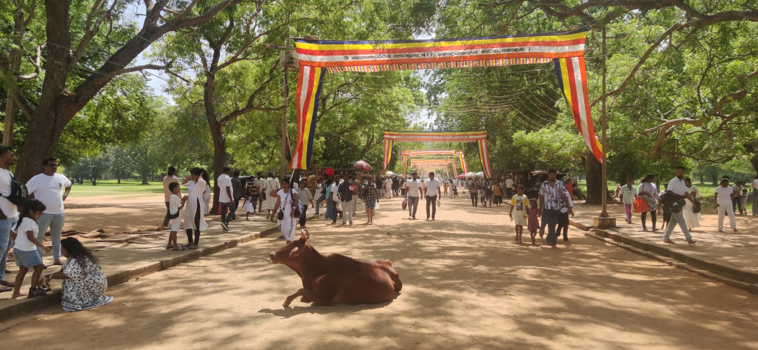 Kataragama 