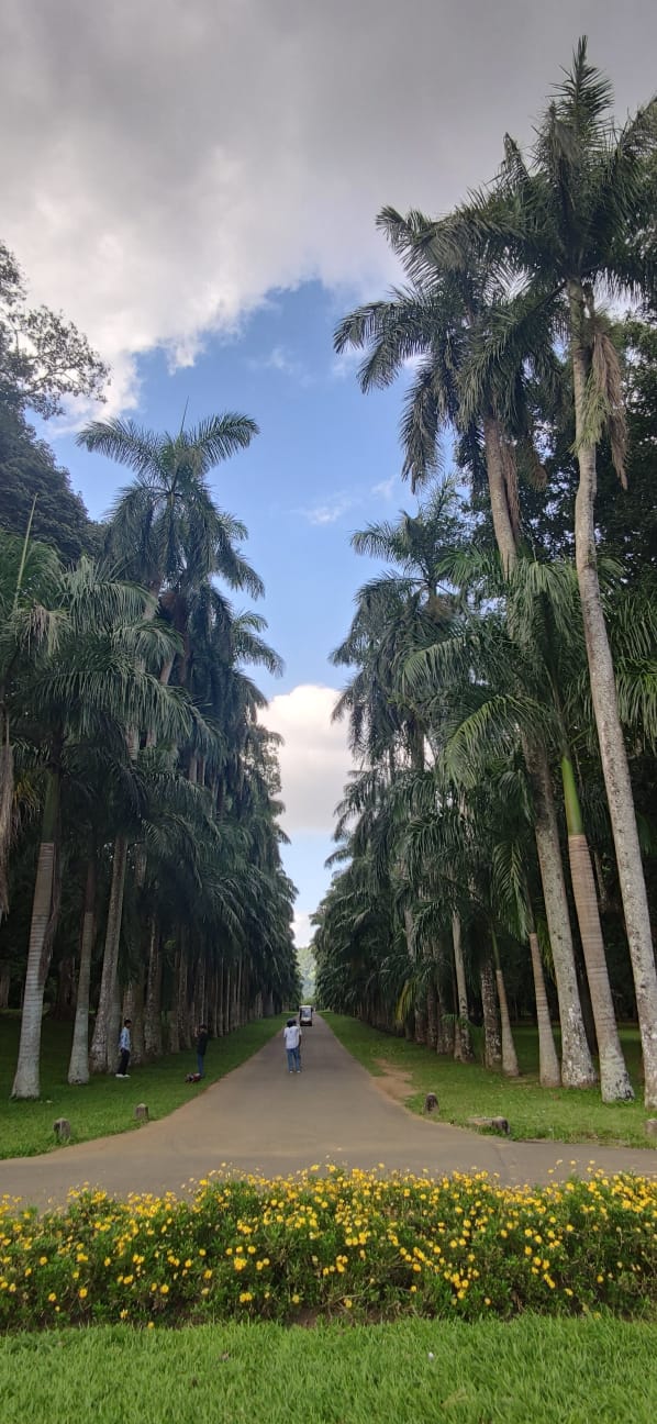Botanical gardens 