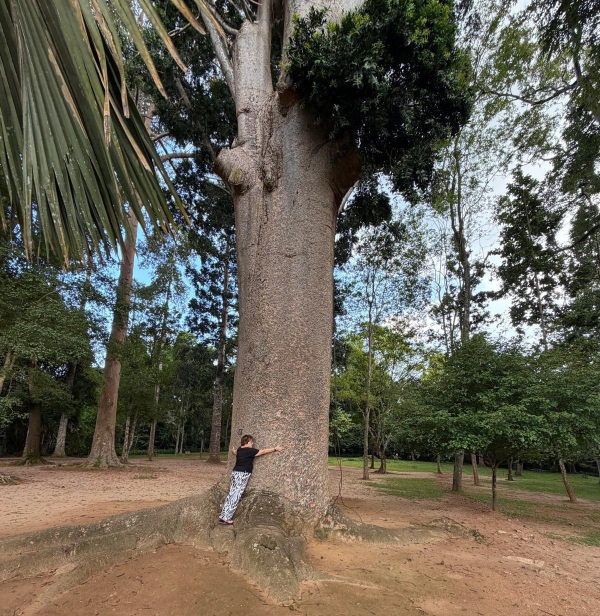 Botanical gardens 