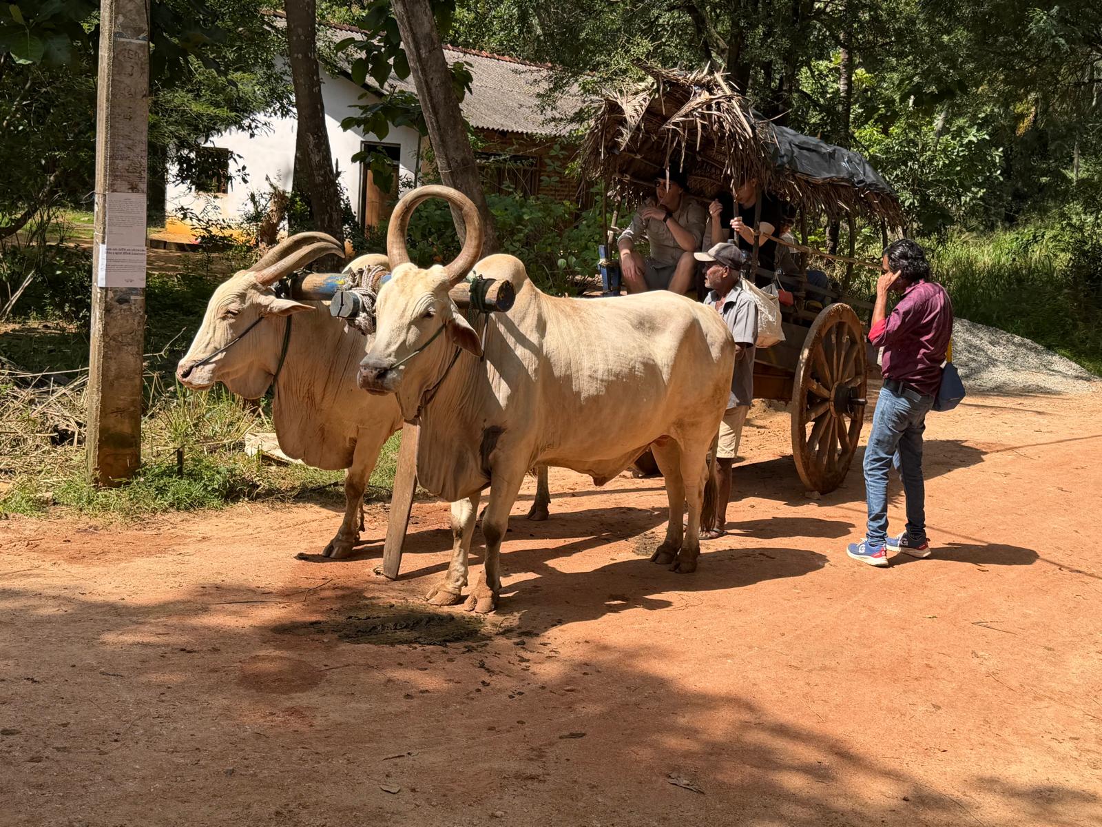 Village Tour, Habarana 