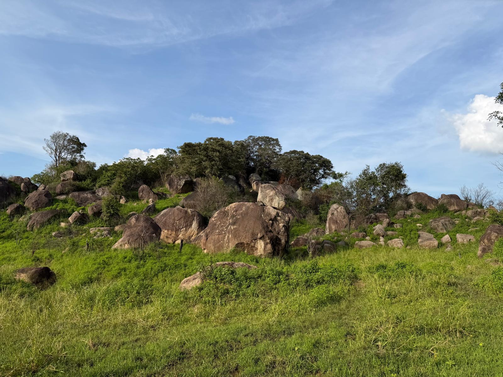 Safari Minnariya National park 