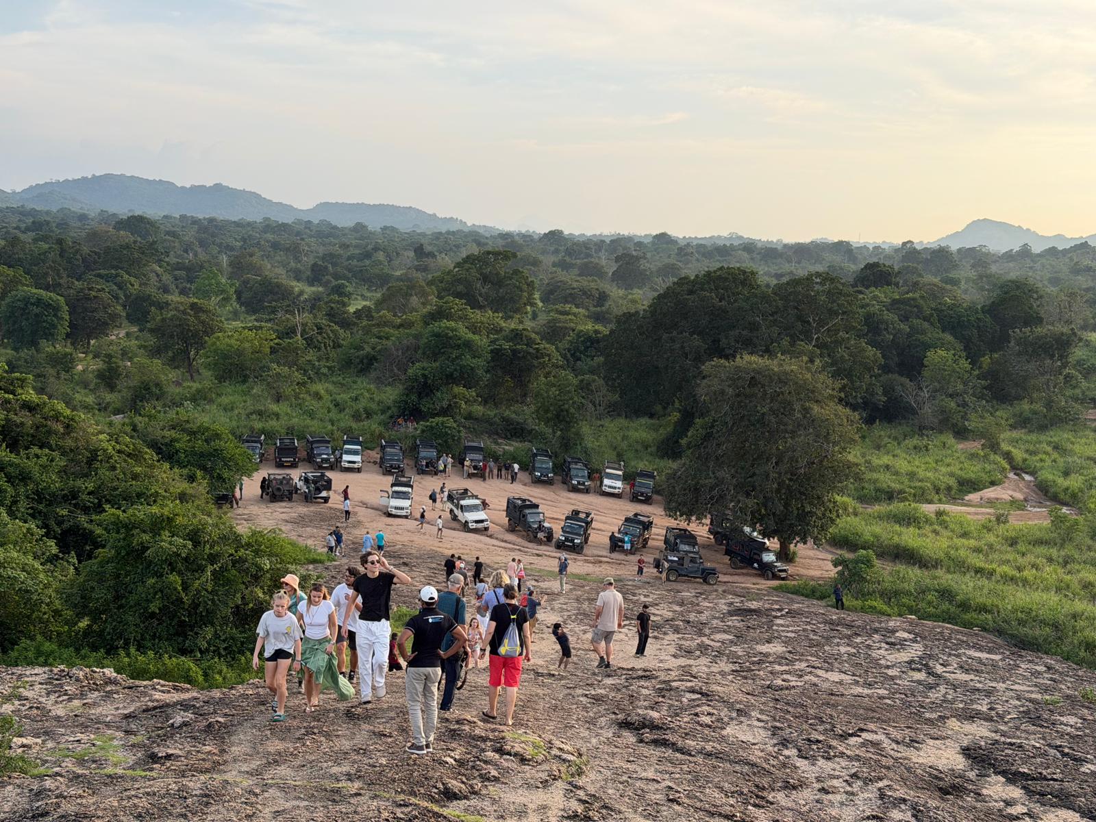 Safari Minnariya National park 