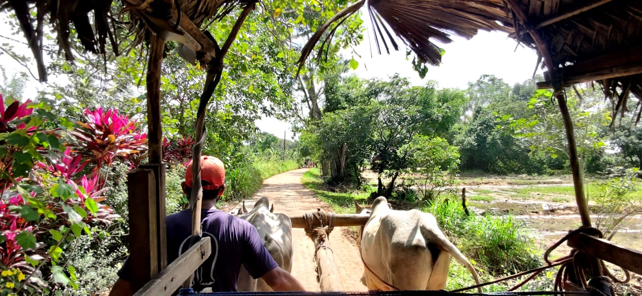 Village Tour Habarana 