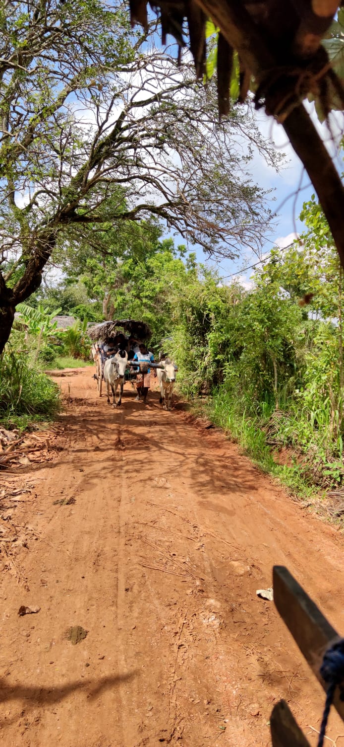 Village Tour Habarana 