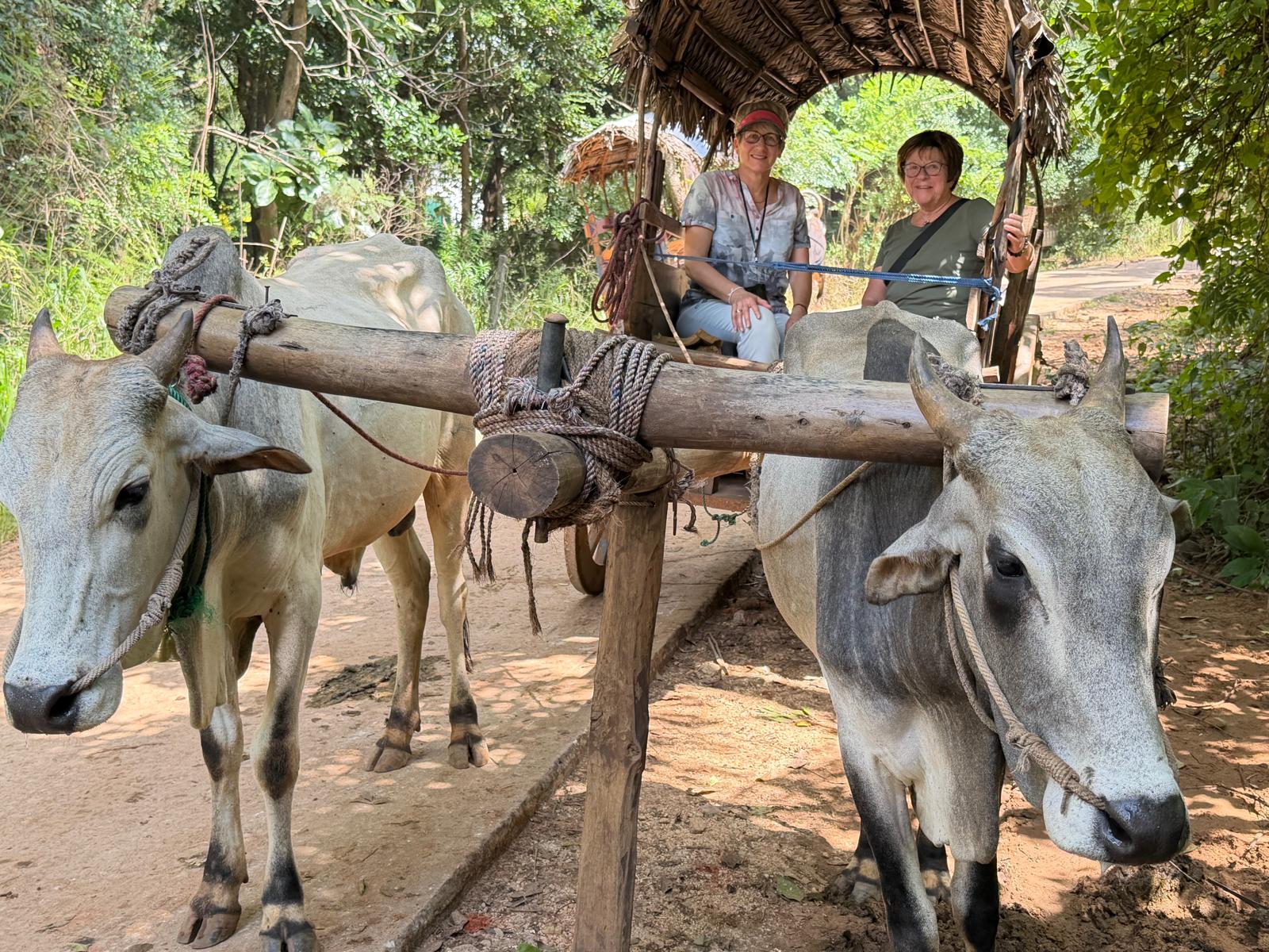 Village Tour Habarana 