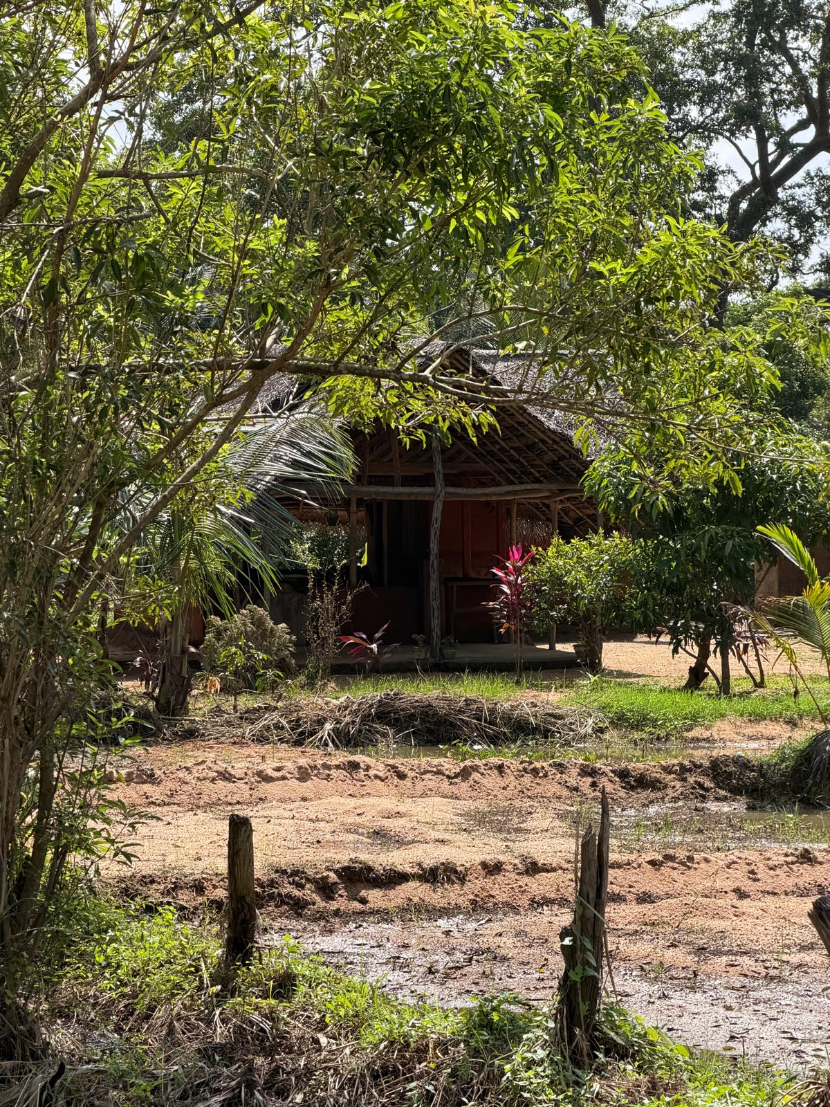Village Tour Habarana 