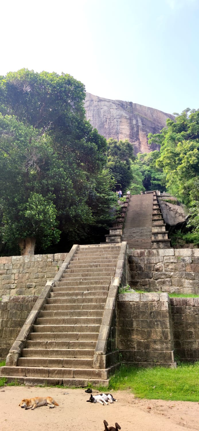 Yapahuwa temple 