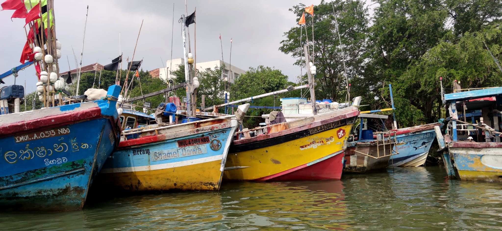 Negombo 