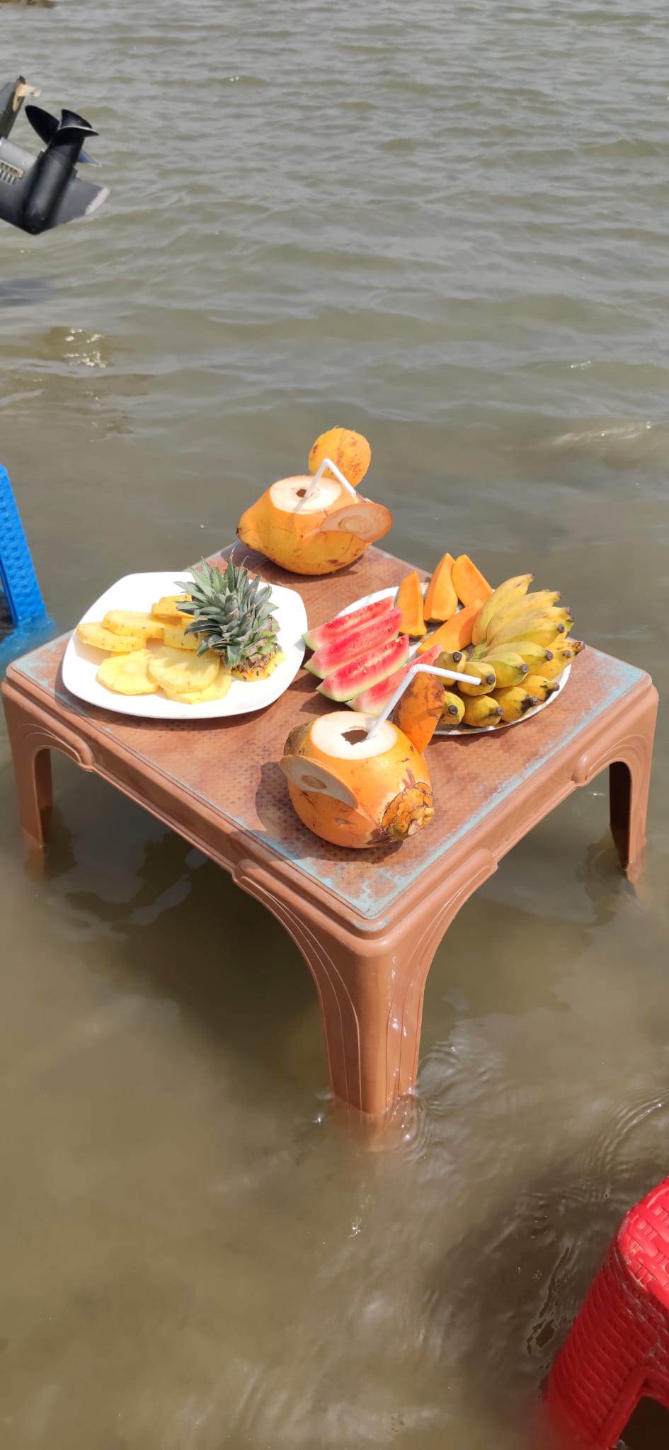 Negombo lagoon tour 