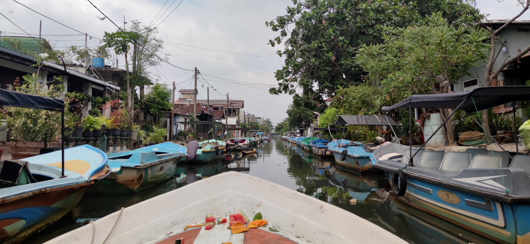 Negombo lagoon tour 