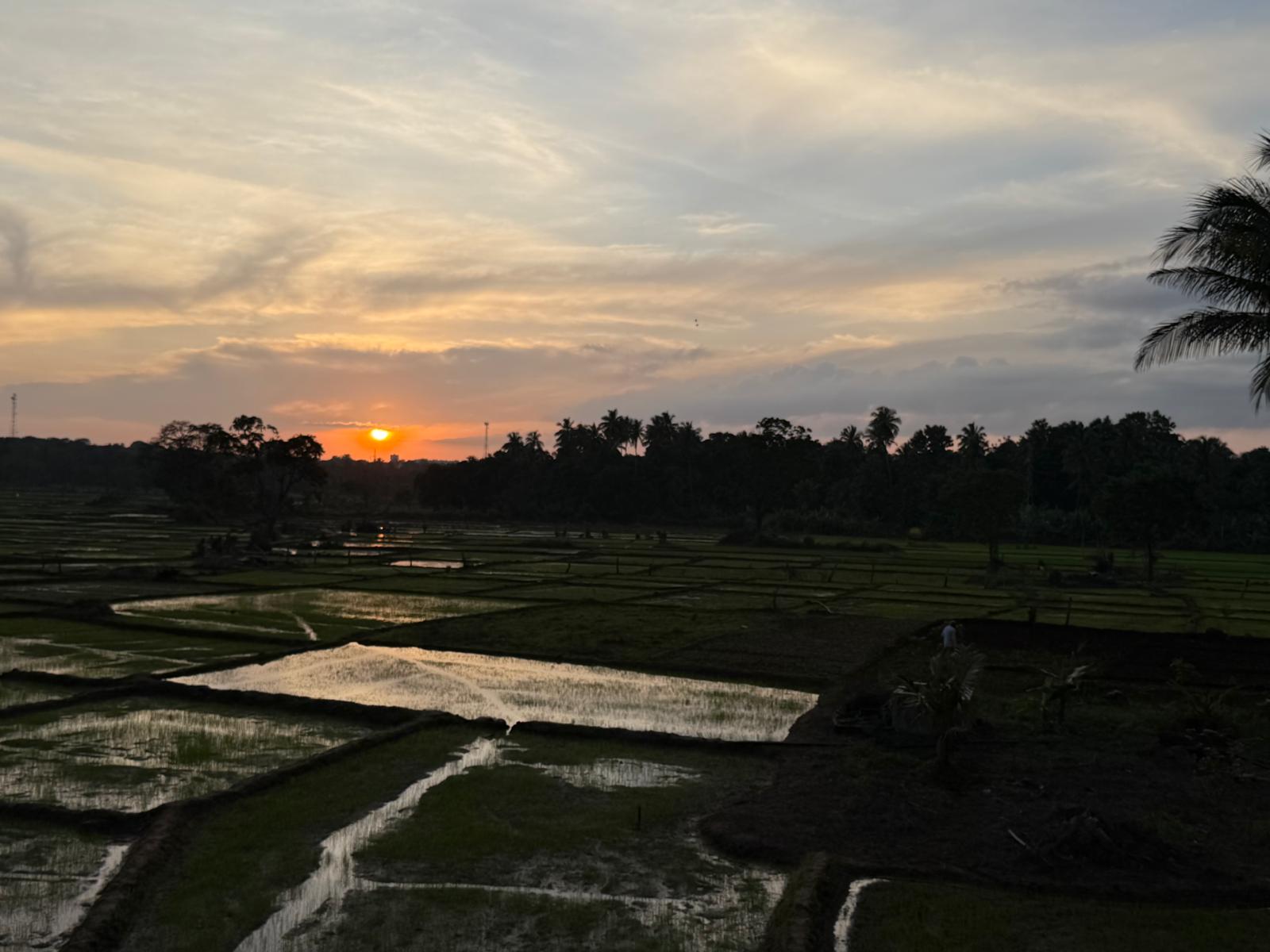 Sun set 